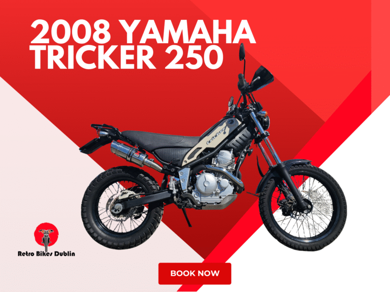 2008 Yamaha Tricker 250